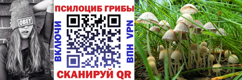 Галлюциногенные грибы GOLDEN TEACHER  ссылка на мегу ссылка  Топки 